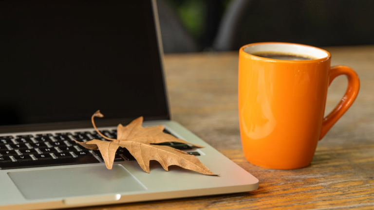 a leaf on a laptop