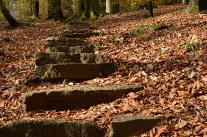 How to Avoid Getting “Paralysis by Analysis”