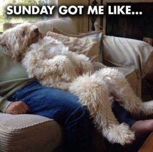 Attention Span in Adults is Diminishing 3 sunday